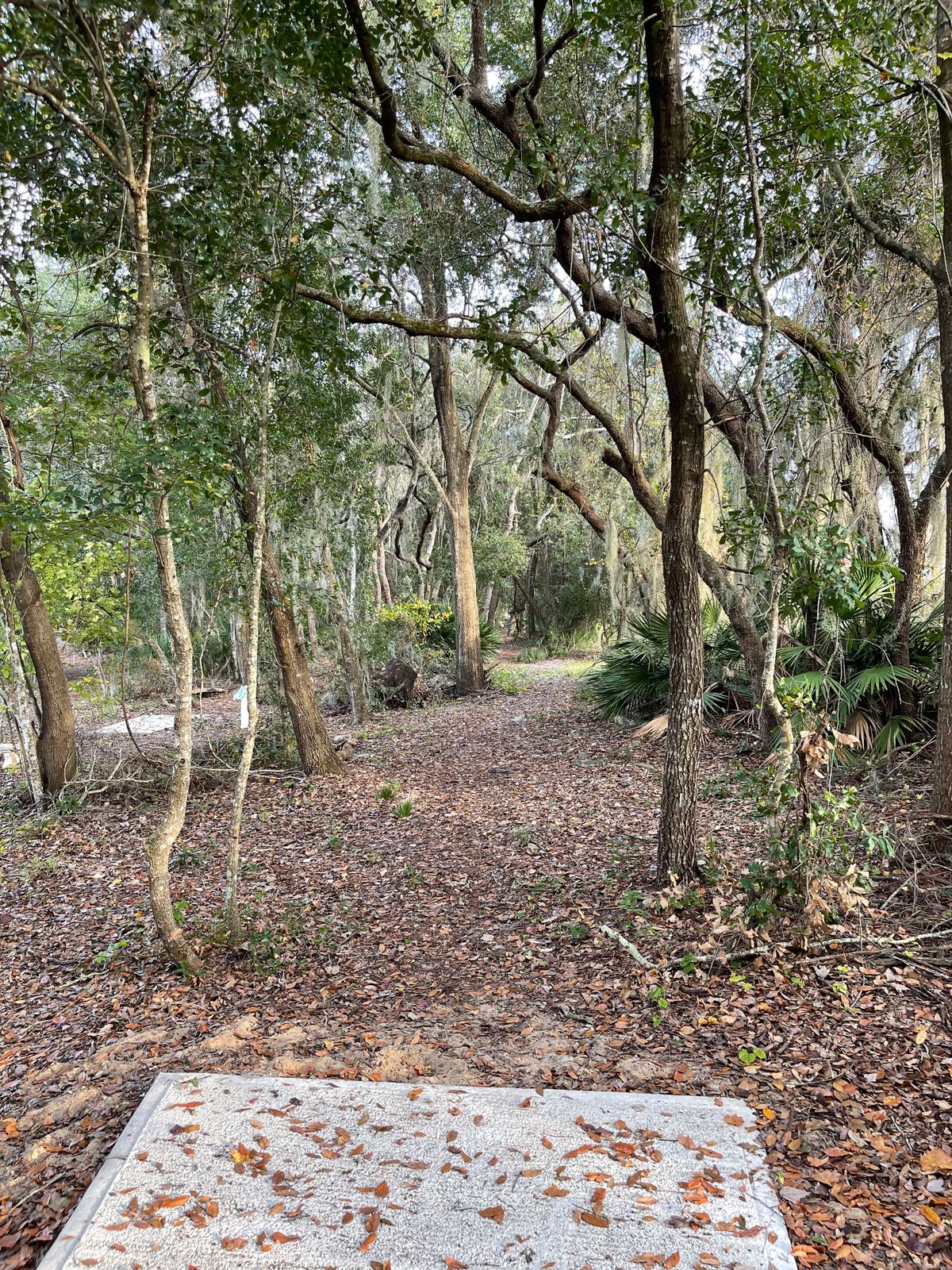 Hole 17