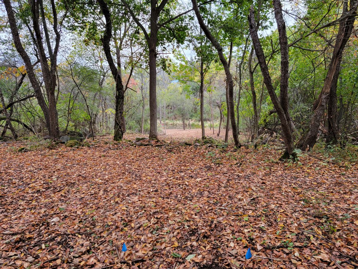 Hole 8 Blue