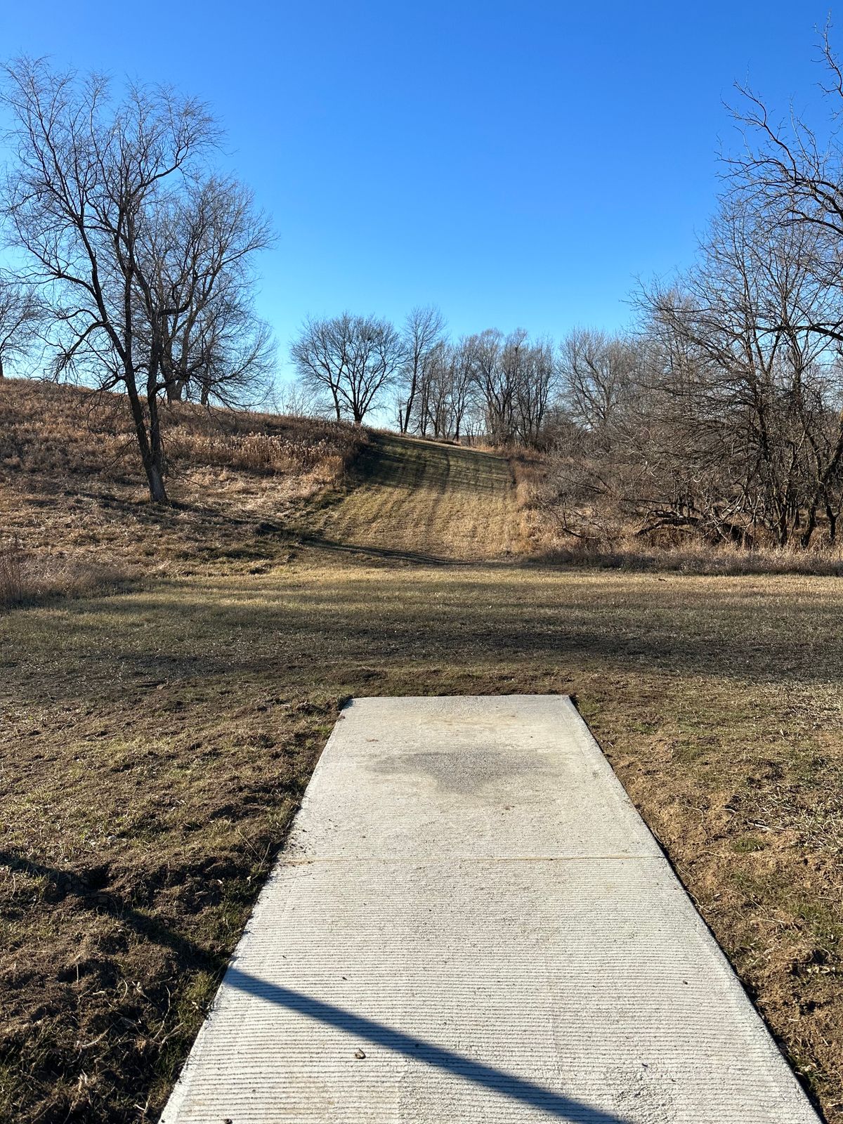 Hole 8 Teepad. Short downhill before a very steep uphill slope before the basket.