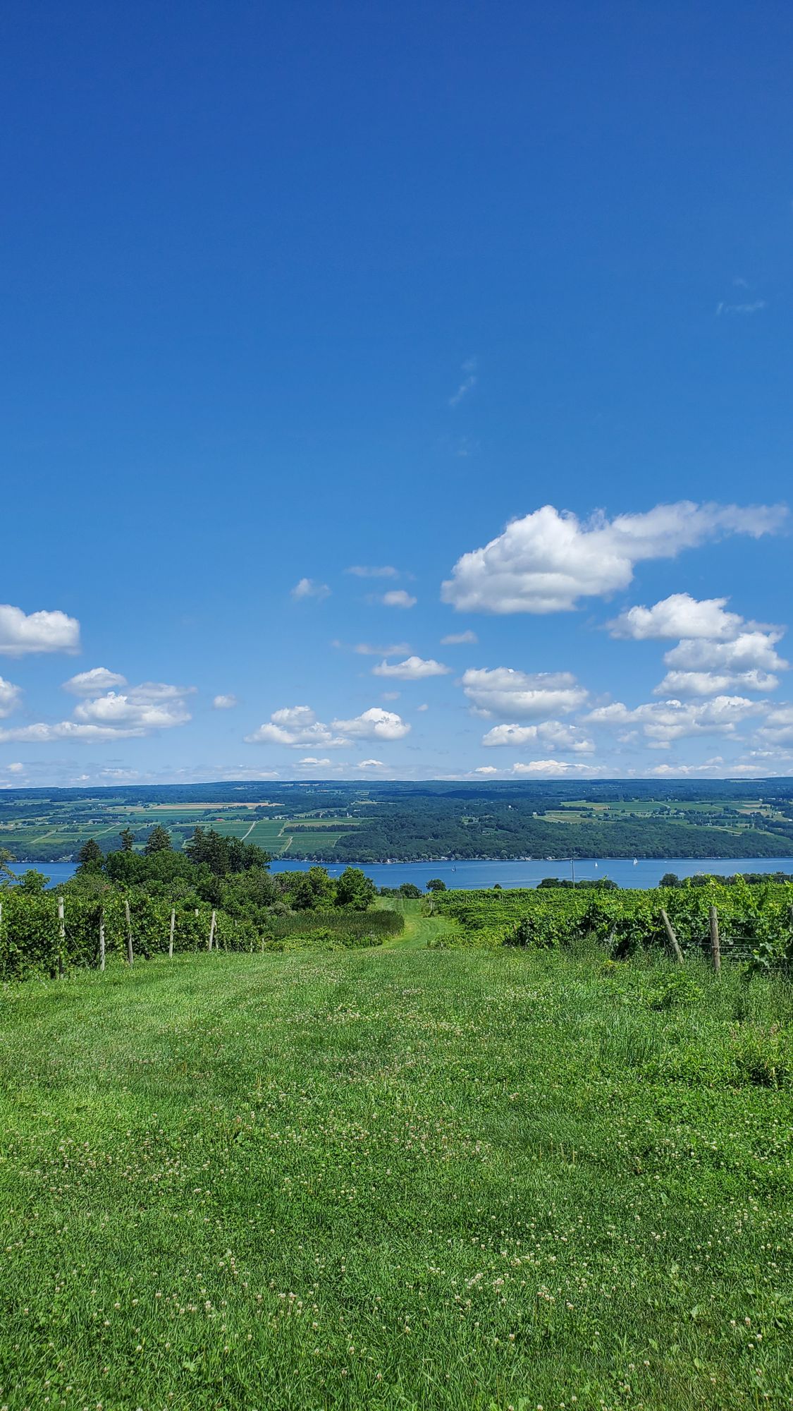 View of Seneca lake from 14s fairway