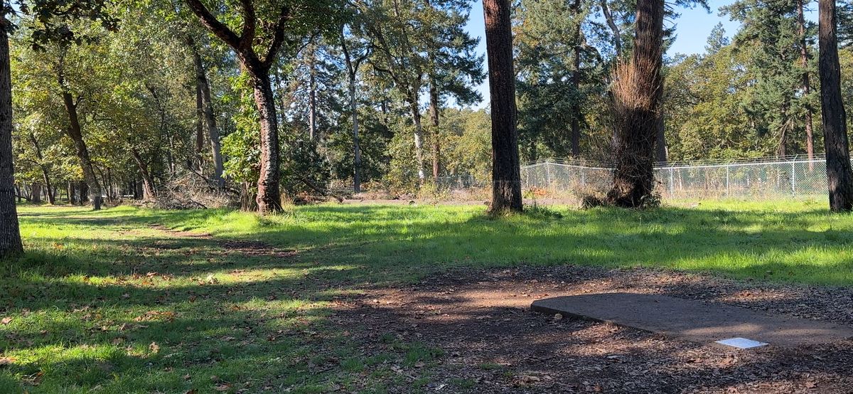 Hole 13