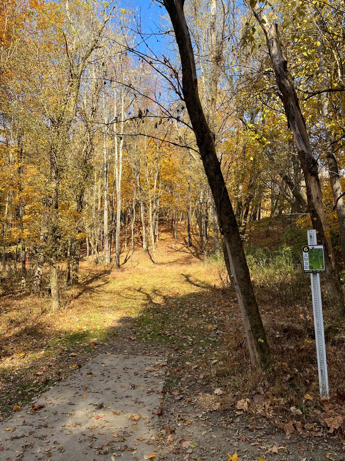 Hole 6 - White Tee