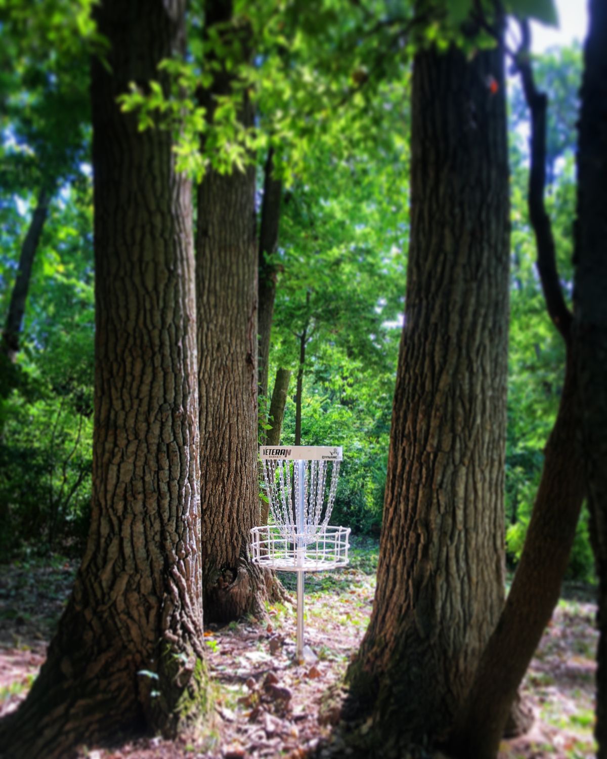Hole 3 basking in the sun.