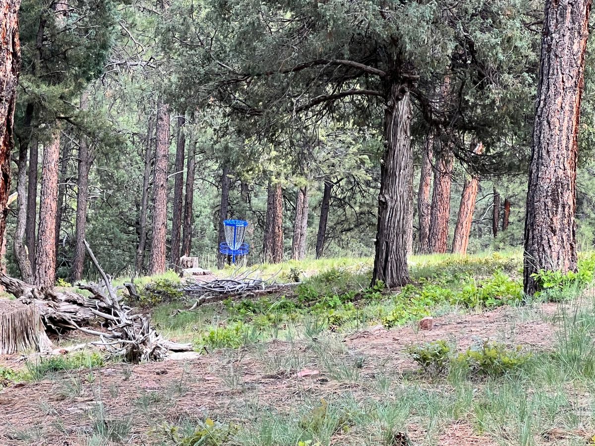 New basket on 15 and 16