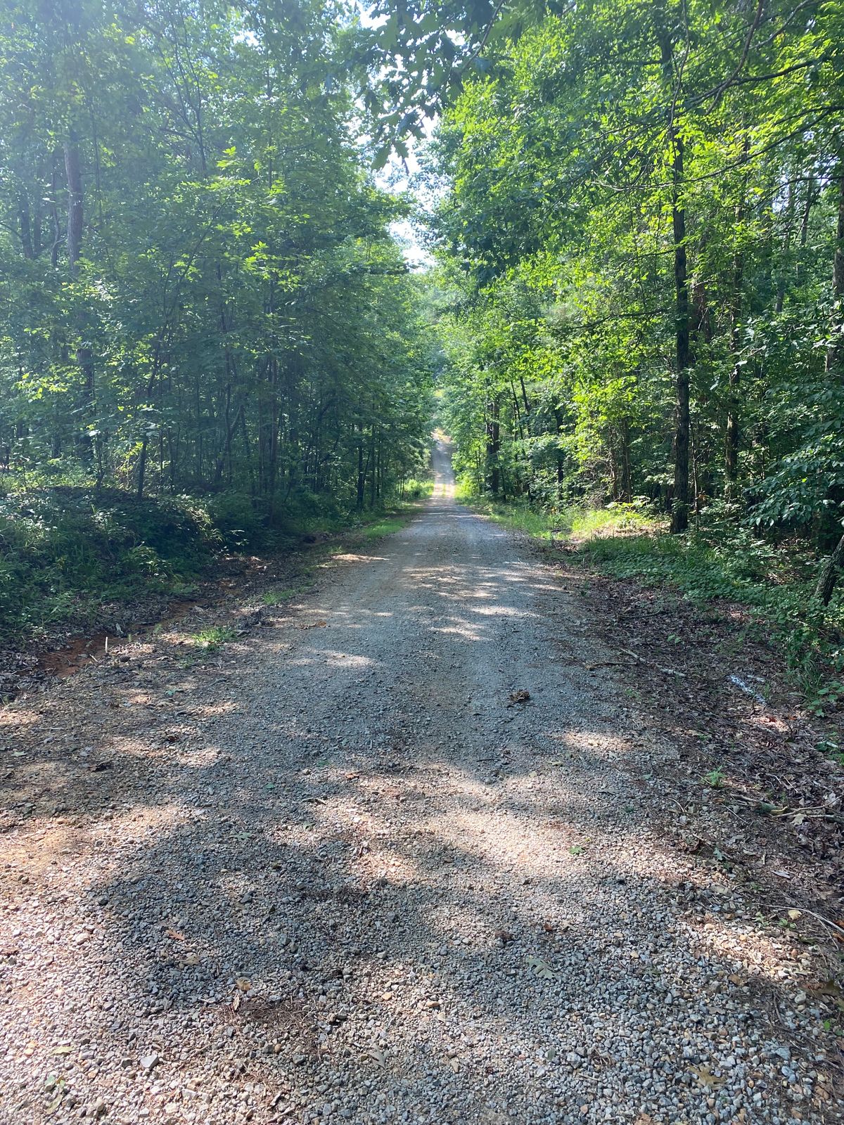 #5 downhill shot (OB Right)