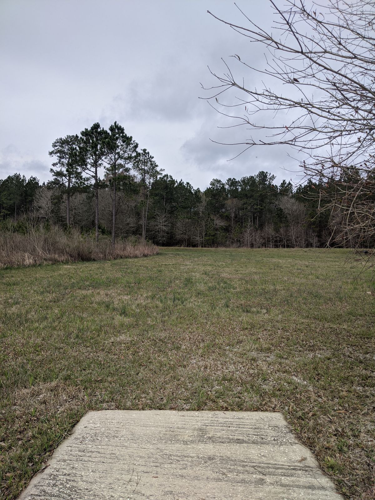 Hole 16 Short Tee