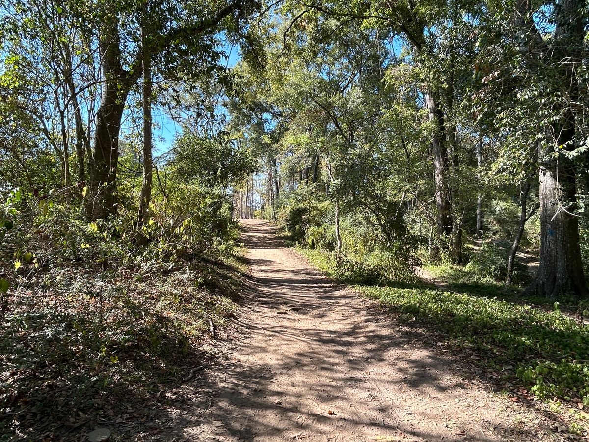 Hole 16 Fairway