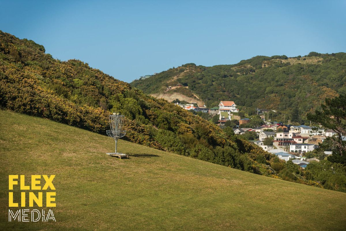 Courtesy of Flex Line Media