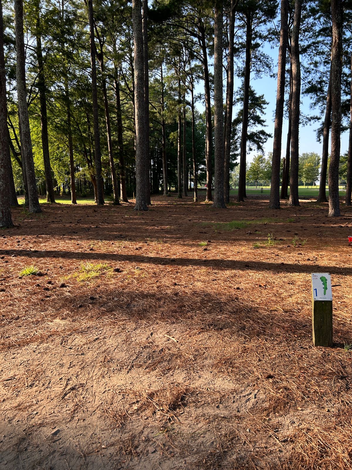 Hole1 is a fairly straight shot through the woods with a sneaky Hyzer line if you can miss the trees