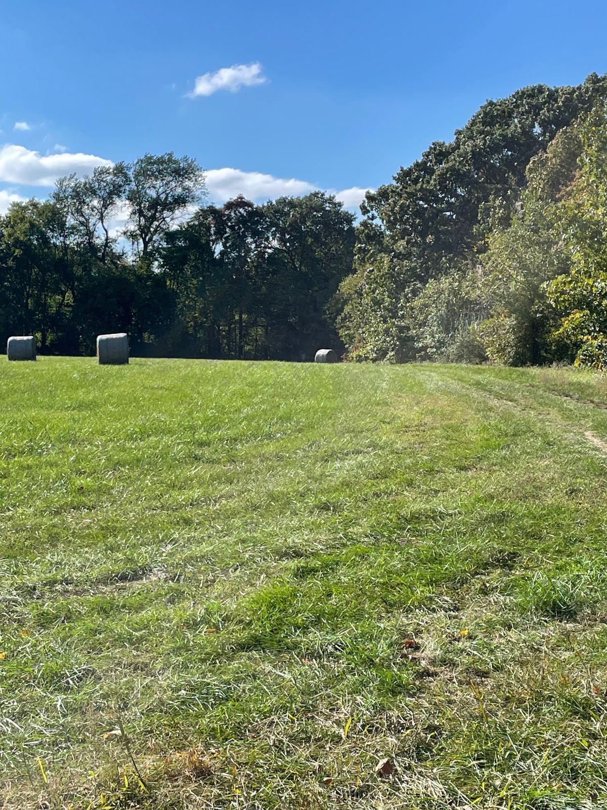 Hole 9