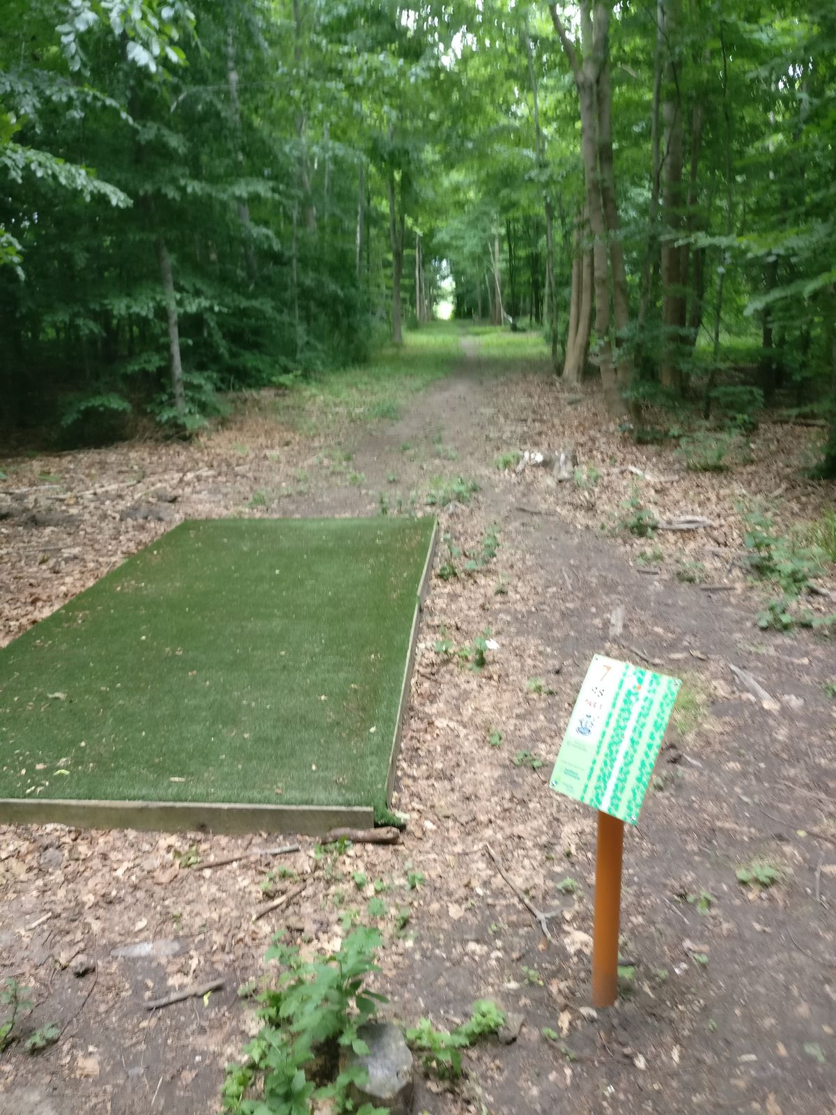 Hole 7