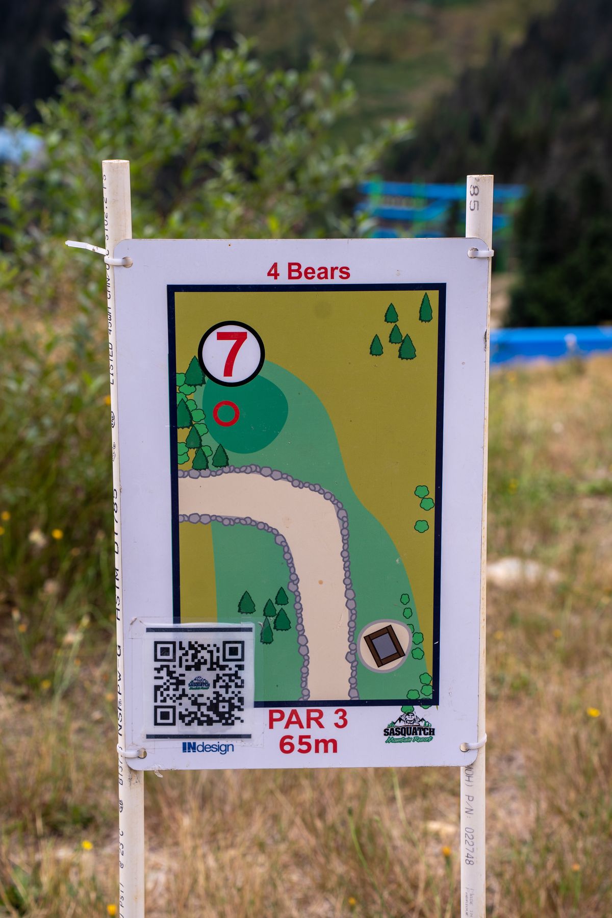 Hole 7