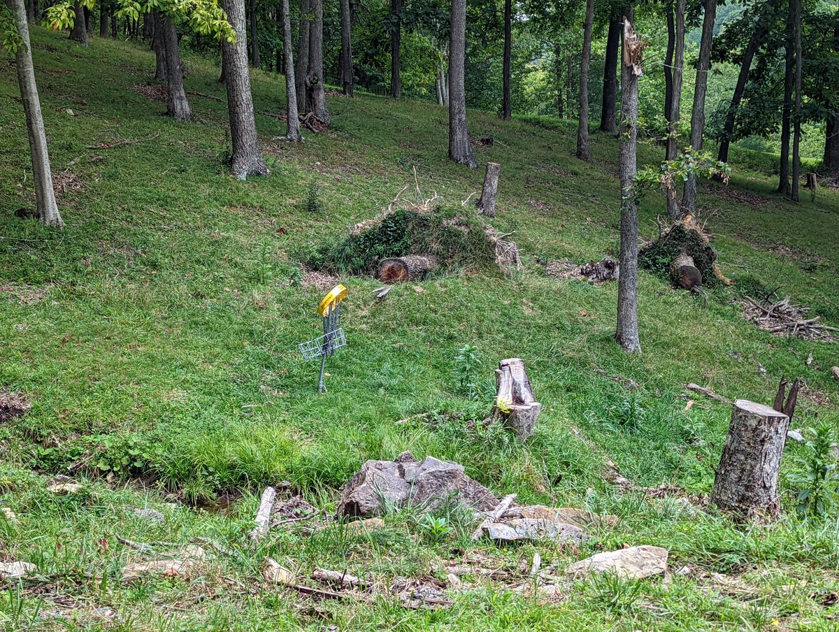 Hole 14 basket took a hit. This hole is tough enough already!