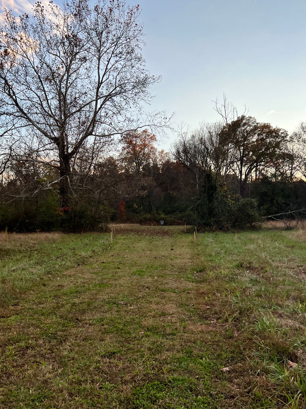 Hole 10