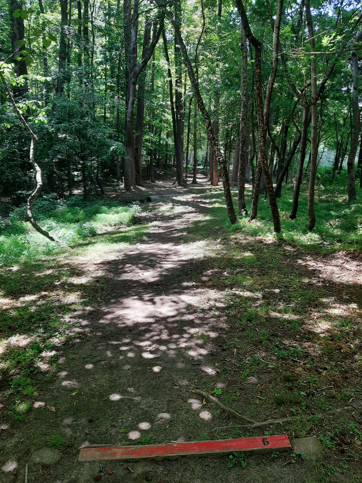 Hole 6 Red Tee