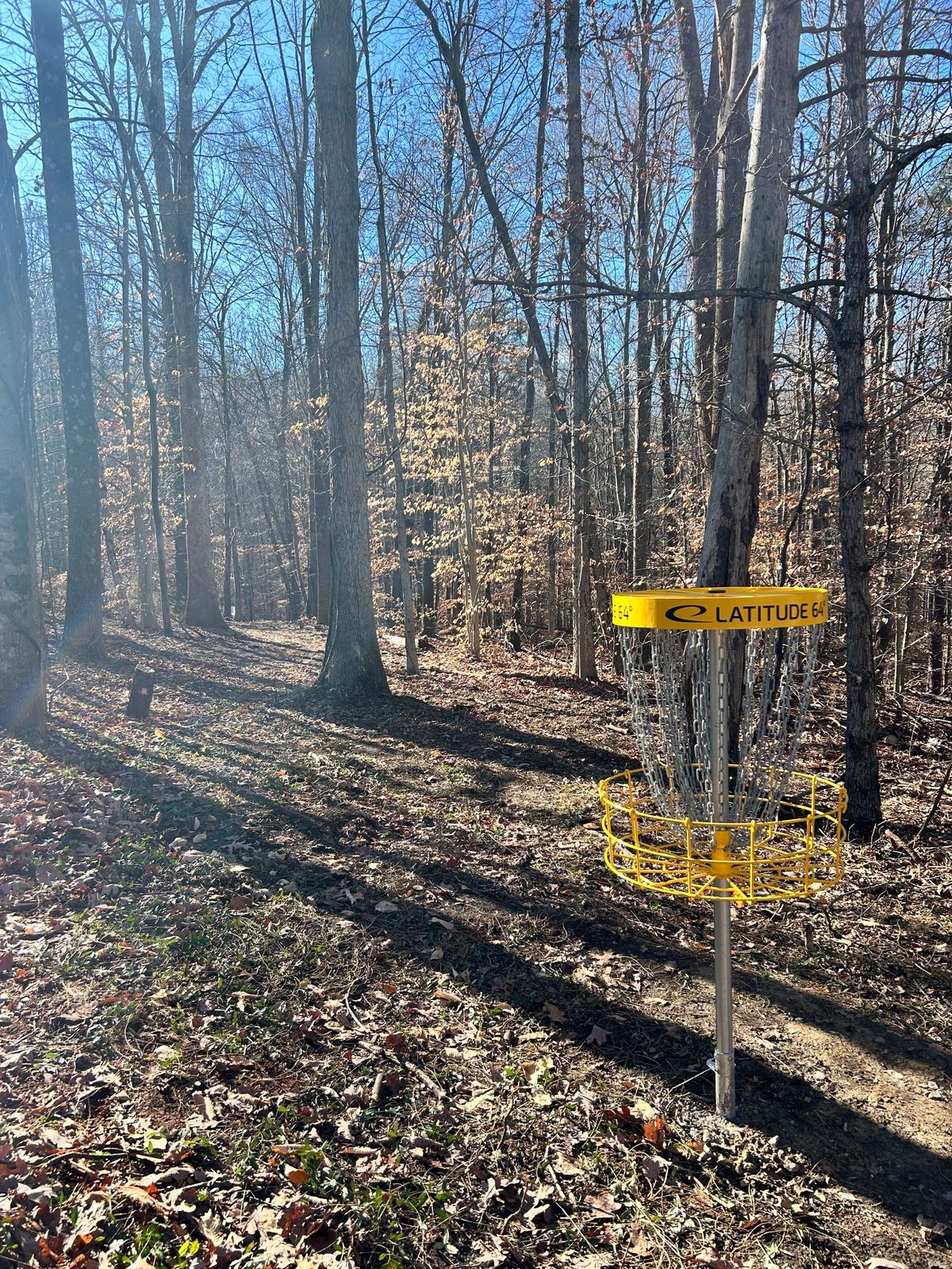 Hole 2 behind a guardian tree
