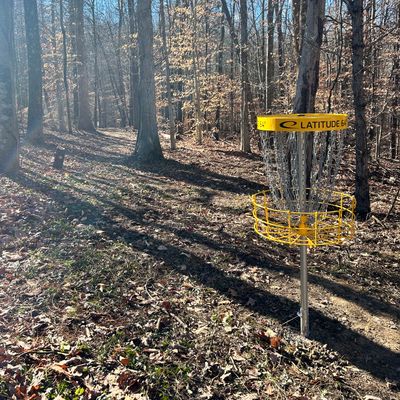 Hole 2 behind a guardian tree