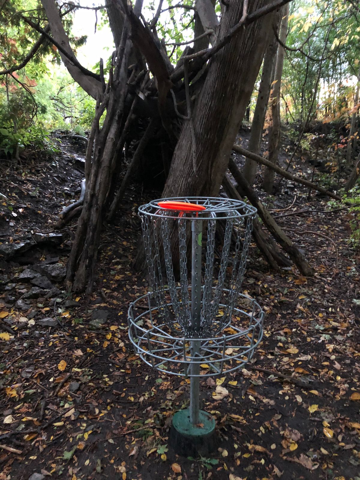 hole #4