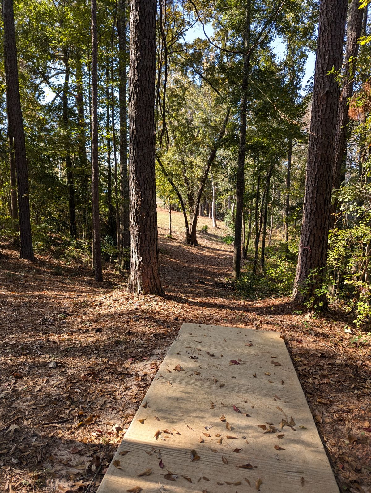 Hole 18 ahead just to the left a bit