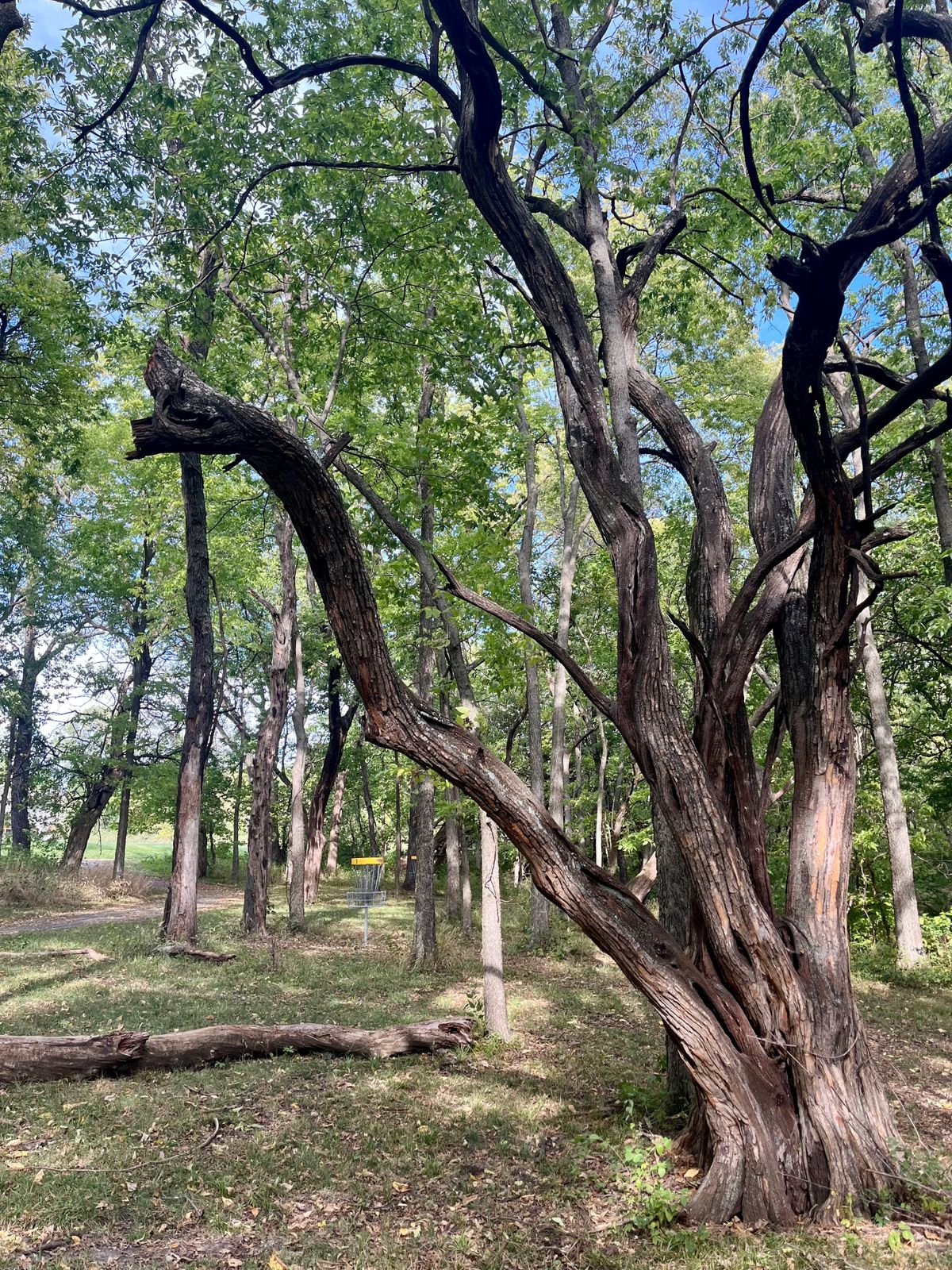 Hole 3