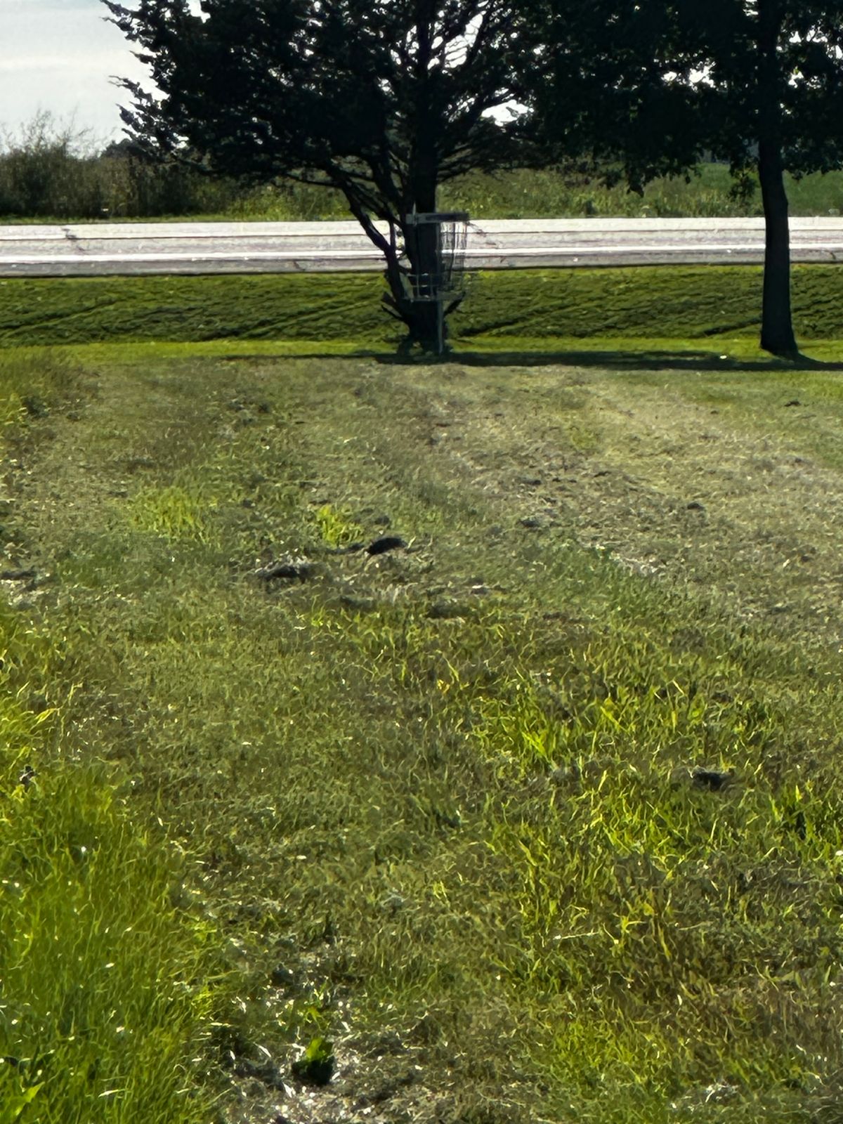 Hole 8 pin