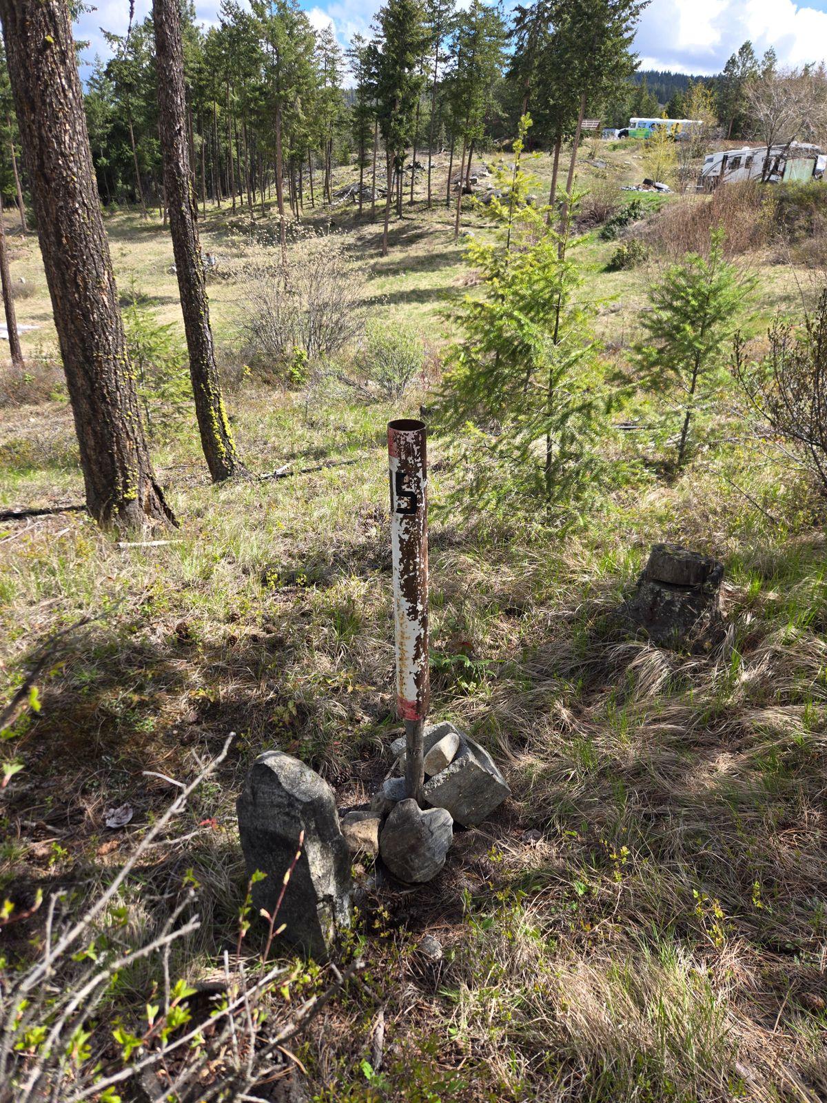 Relic of the Grizzly course