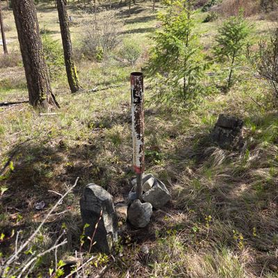 Relic of the Grizzly course