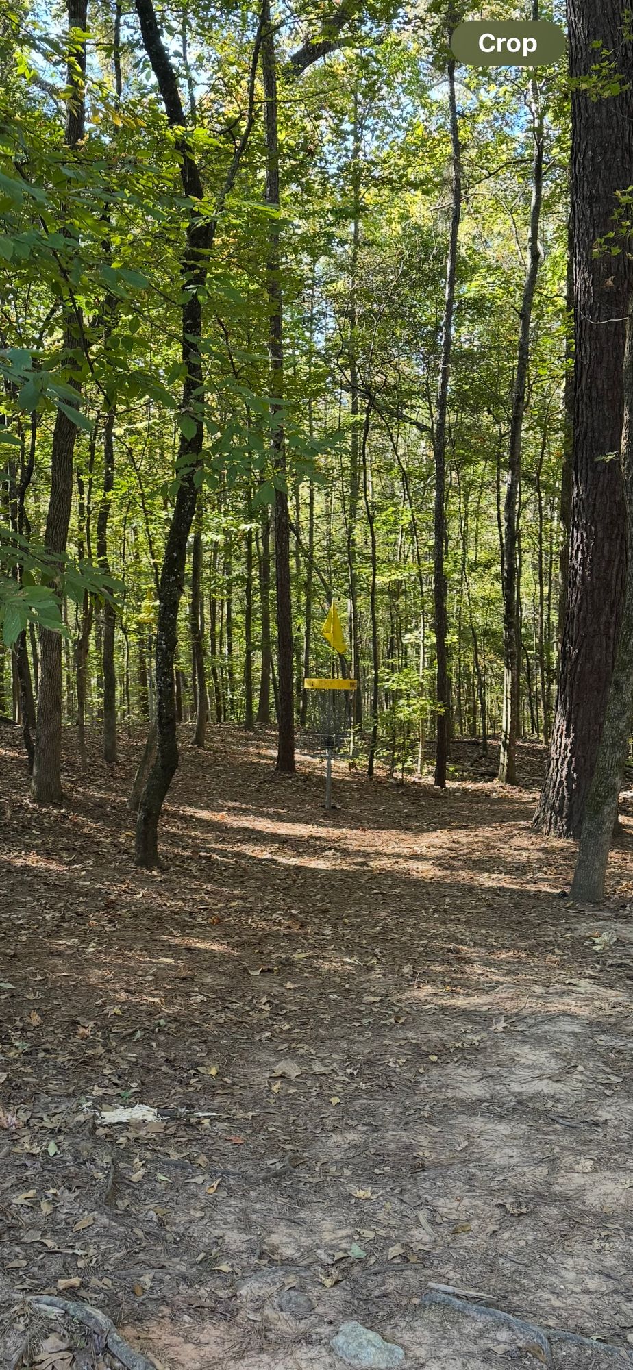 Hole 1B pin location
