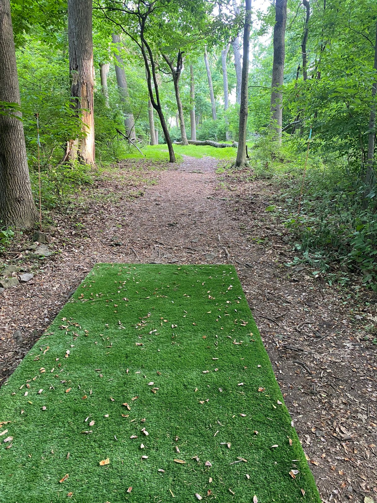 Hole 13