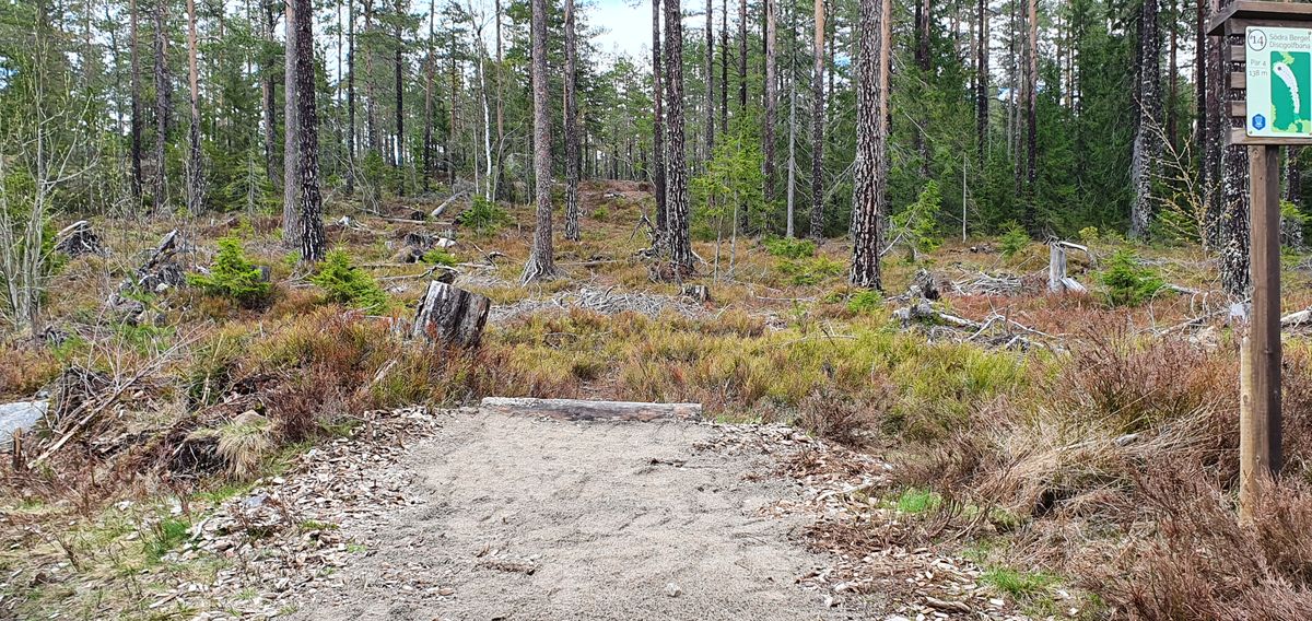 Stenar bortgrävda och stenmjöl på. Det blev bättre!