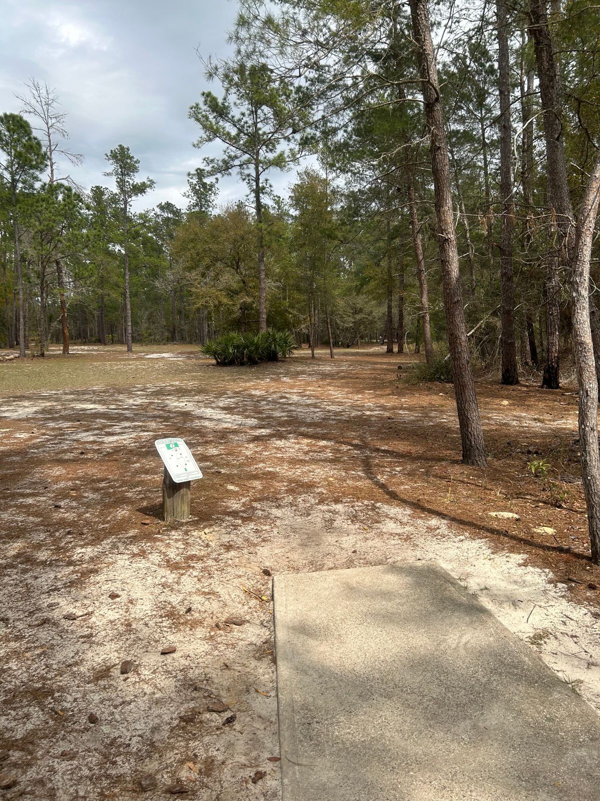 #6 Tee (only pad)