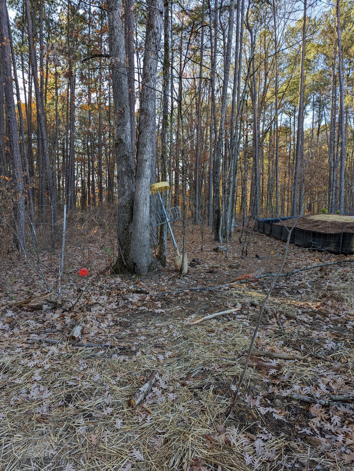 Construction of nearby houses has disrupted the course.