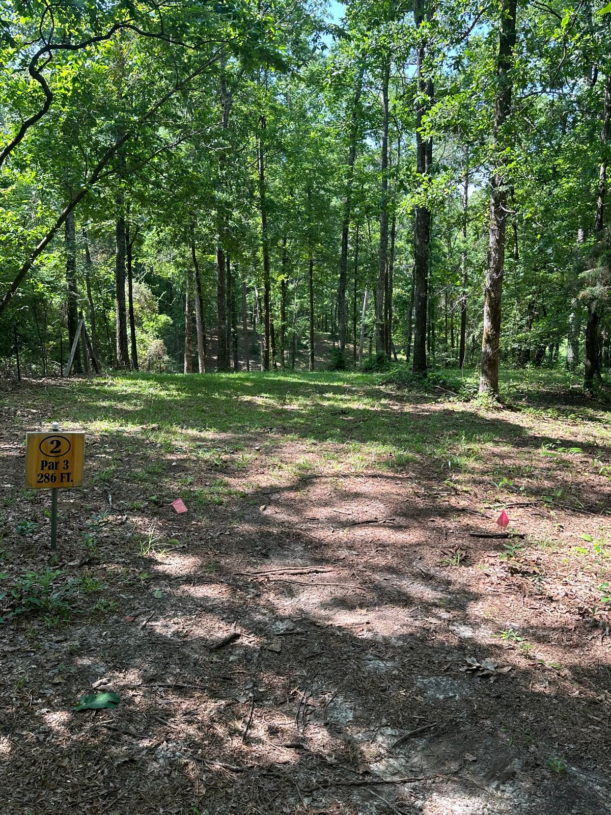 Hole 2 long tee