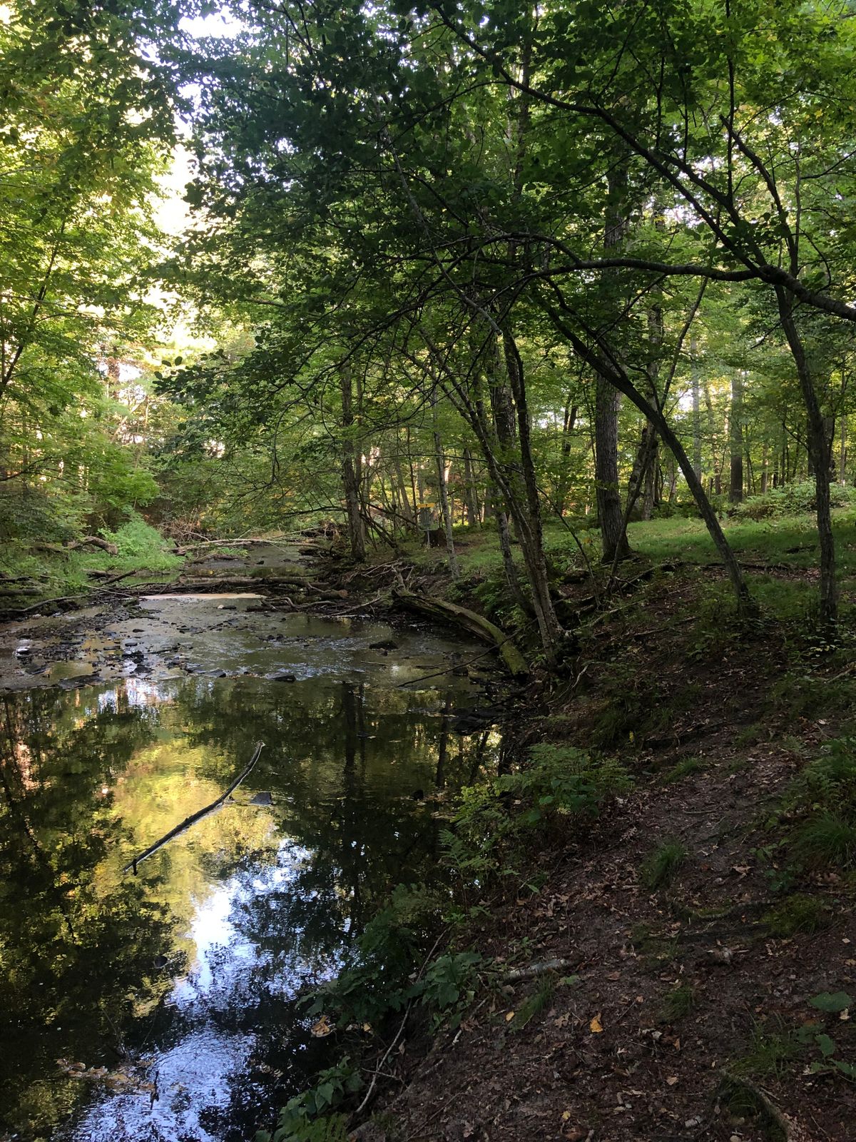 Hole 7 Approach