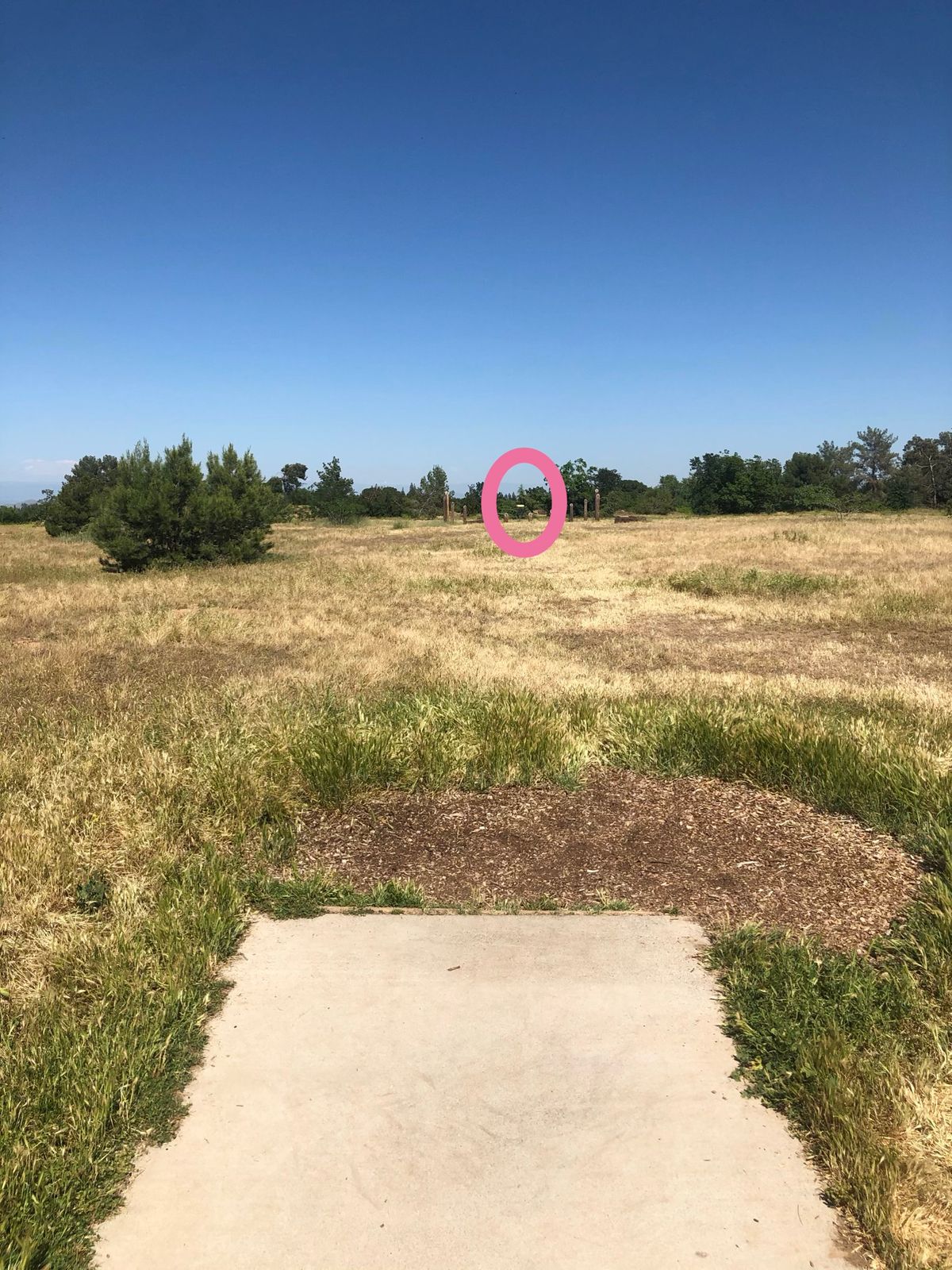 Hole 17 tee to basket
