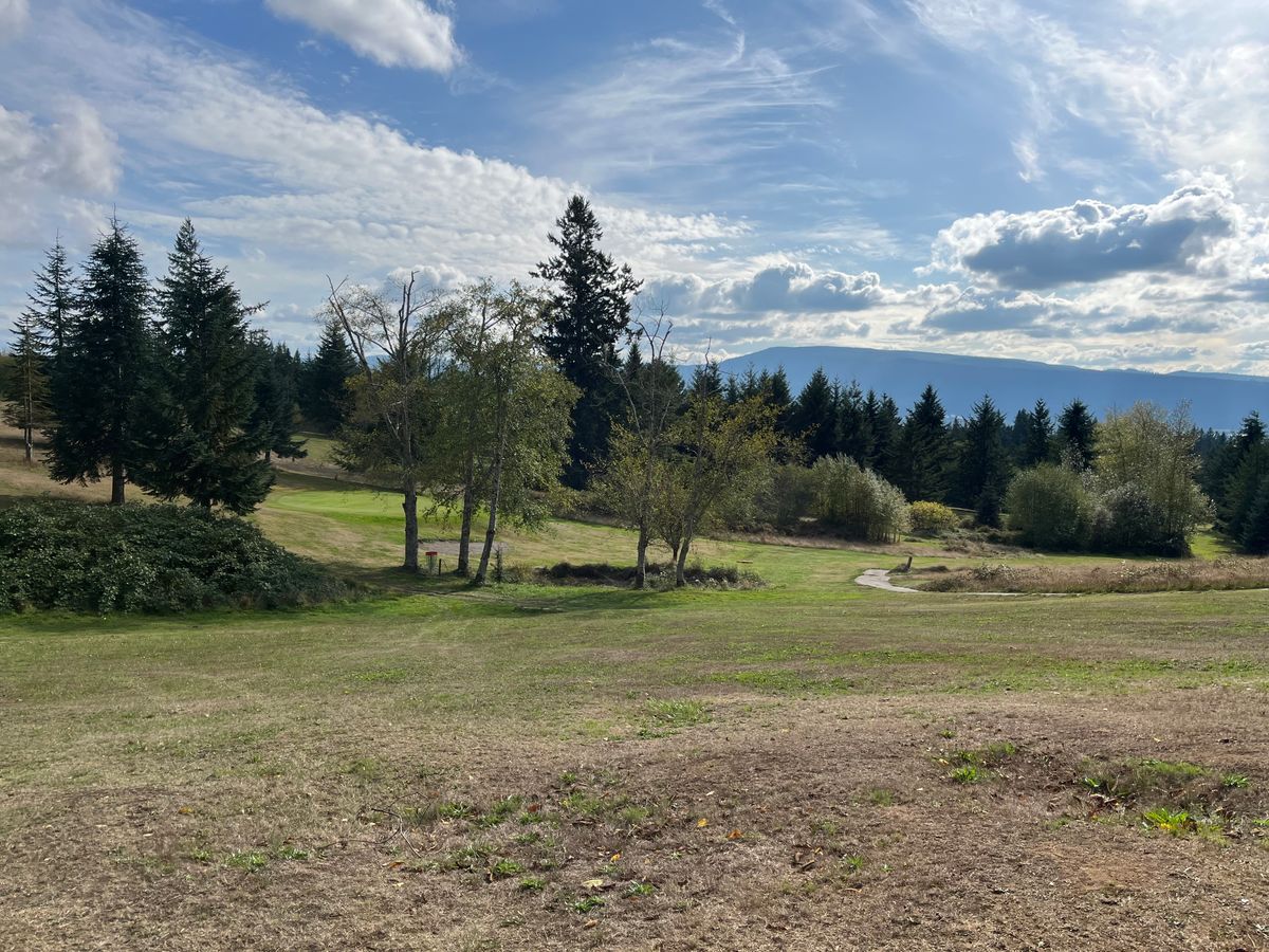 Looking back at 7’s pin