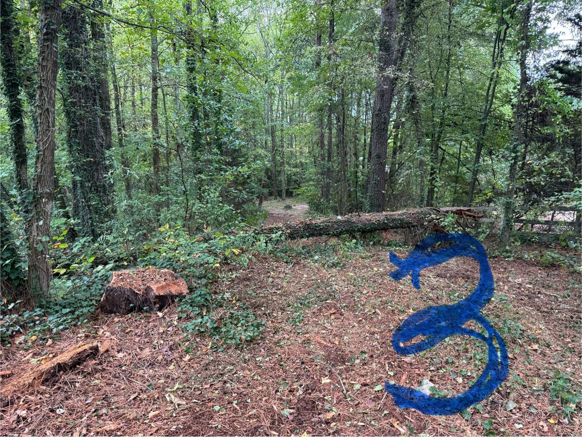Hole 3 (12) during design phase