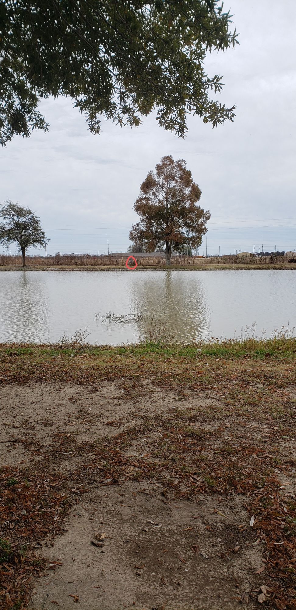 Hole 9 main tee