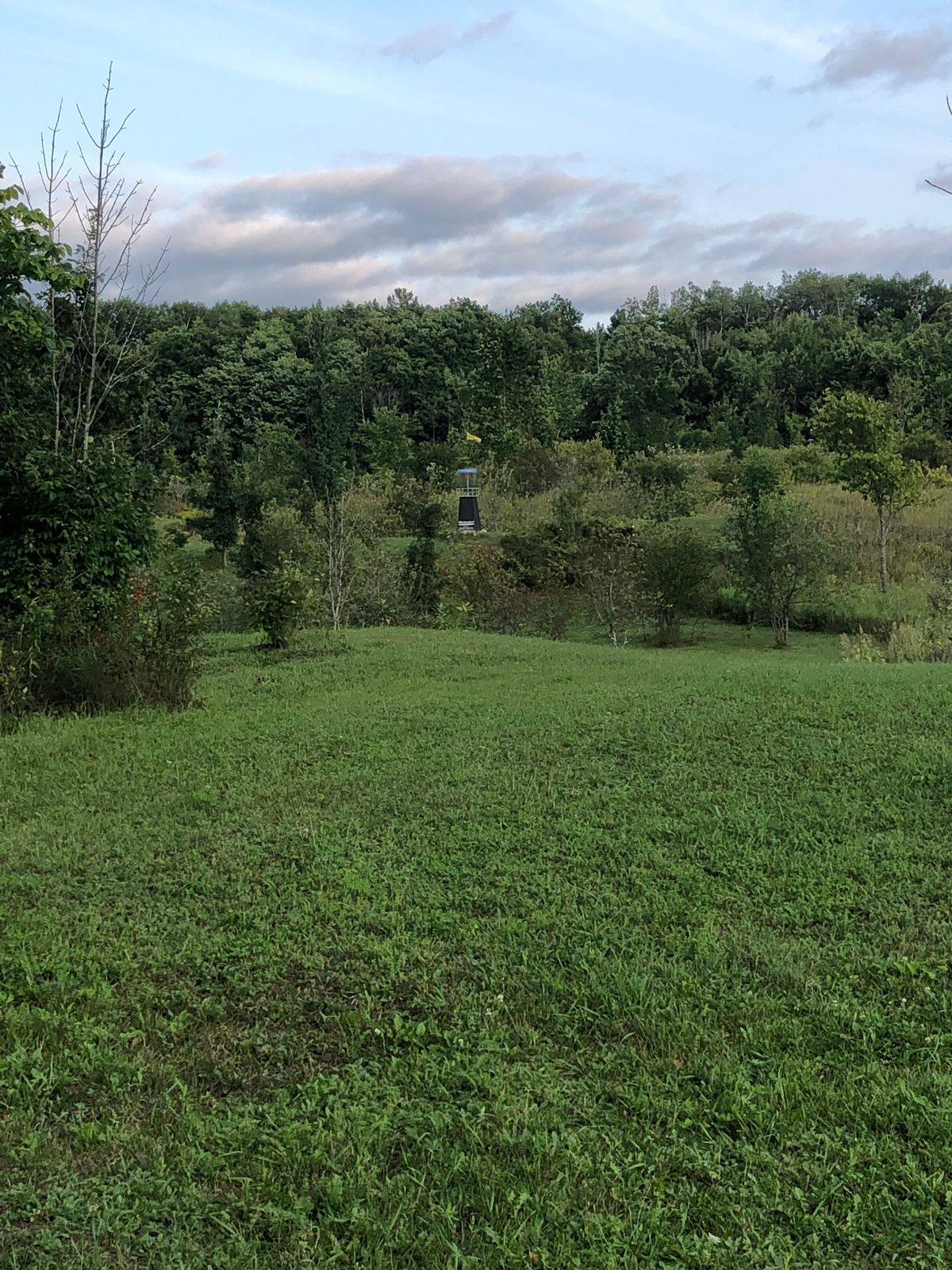 Hole 7