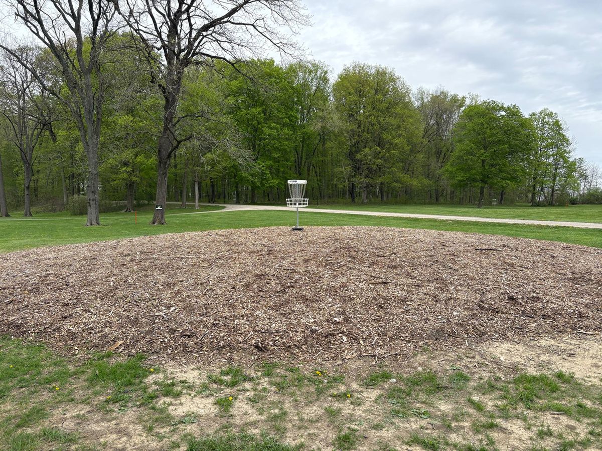 Hole 2 Island hole