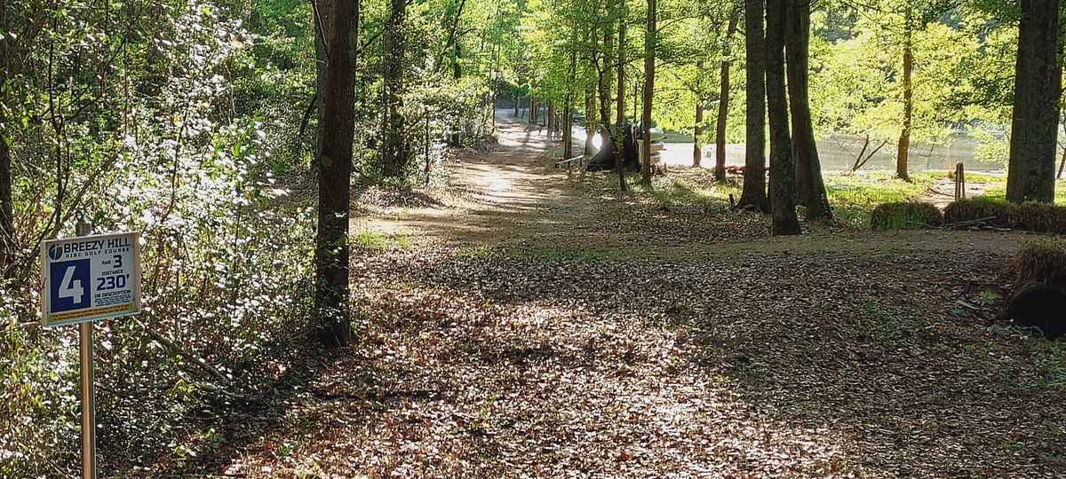 Hole 4 tee