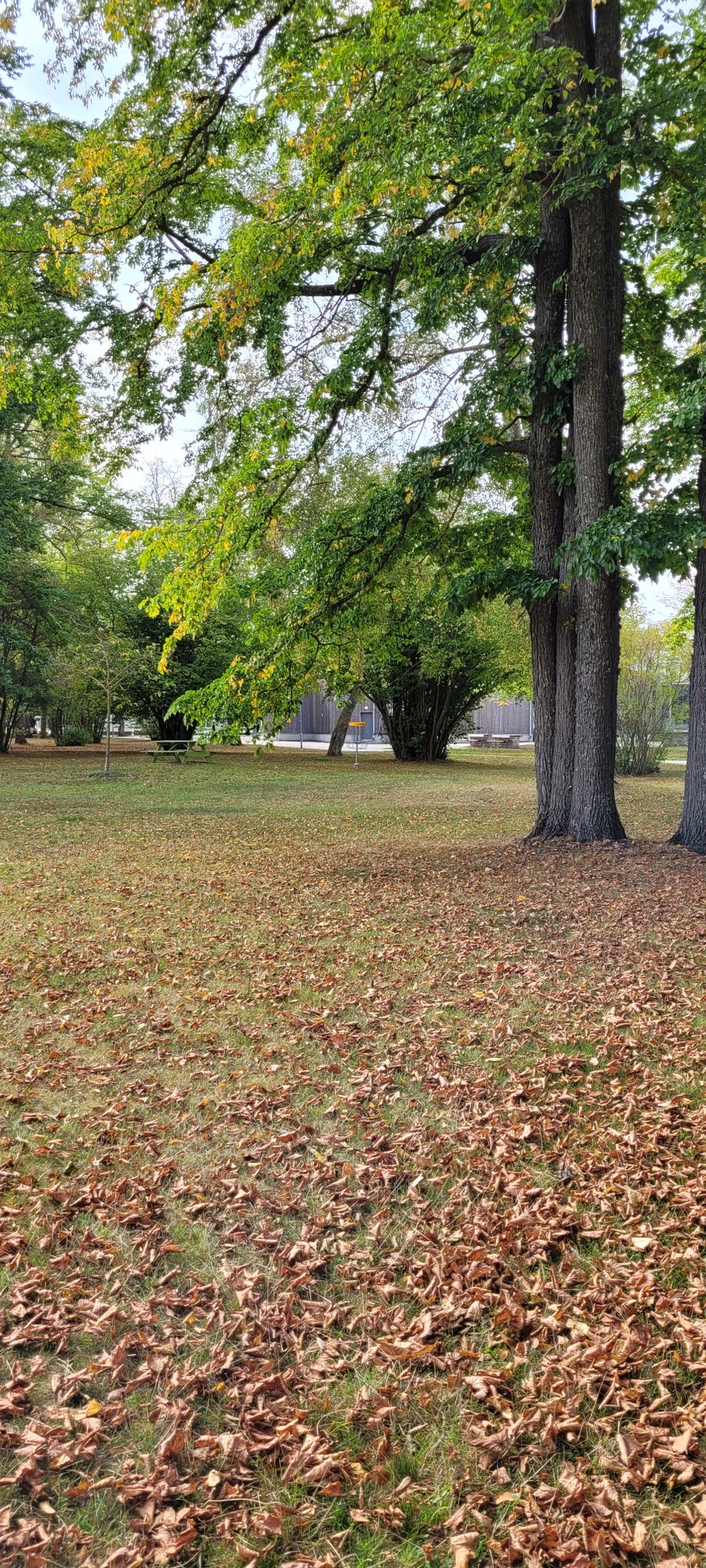 Hole 2