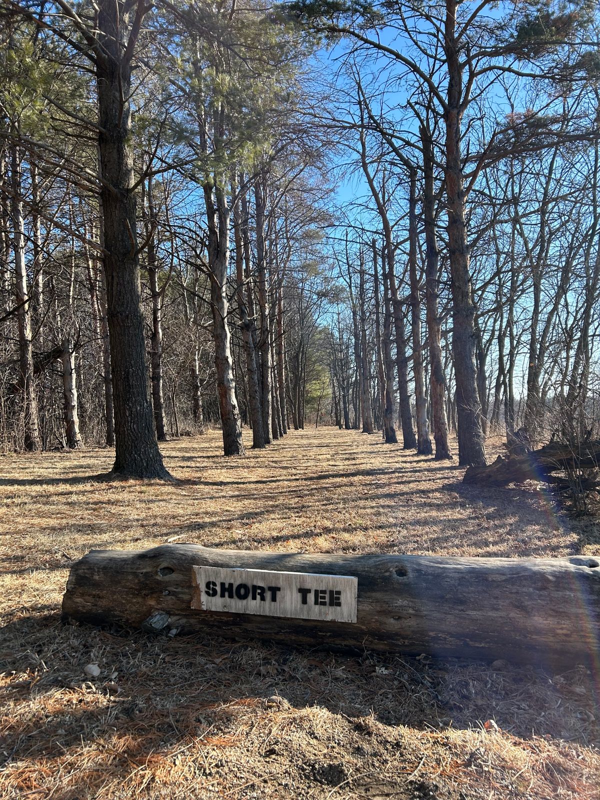Hole 11s tunnel from short tee