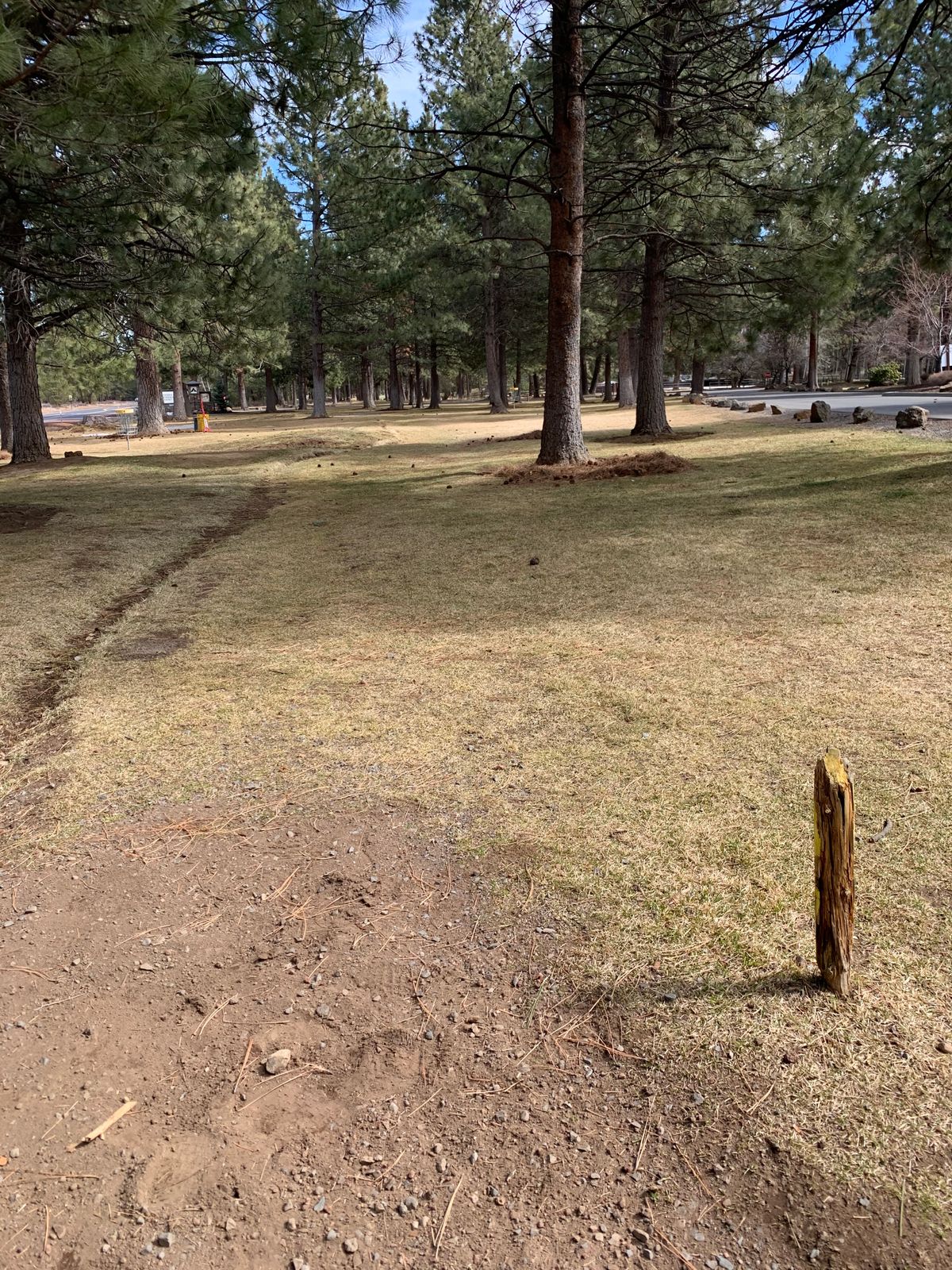 Tee for hole #8