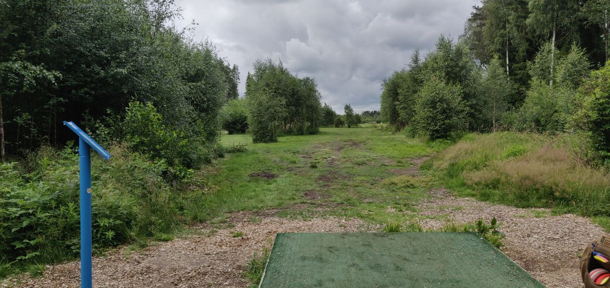 Hole 7 tee