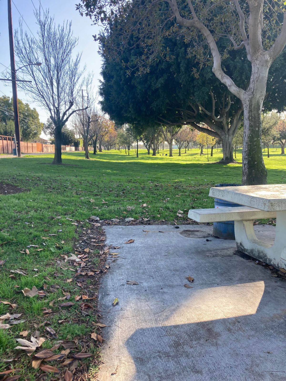 Hole 7 teepad