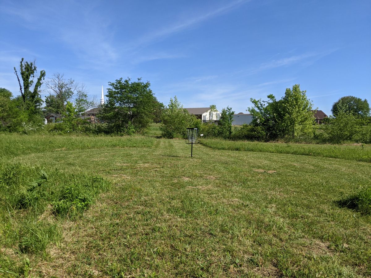 Hole 7 Green