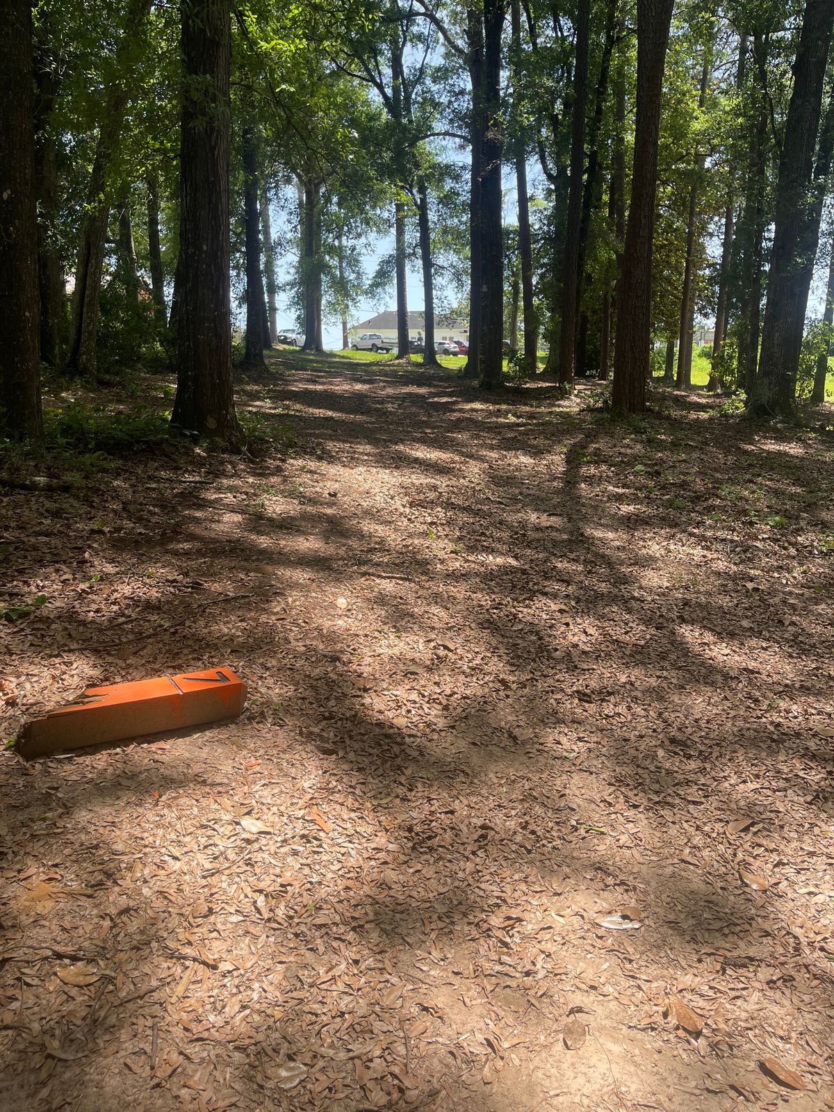 Hole 7