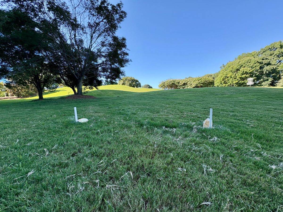 Hole 2 tee