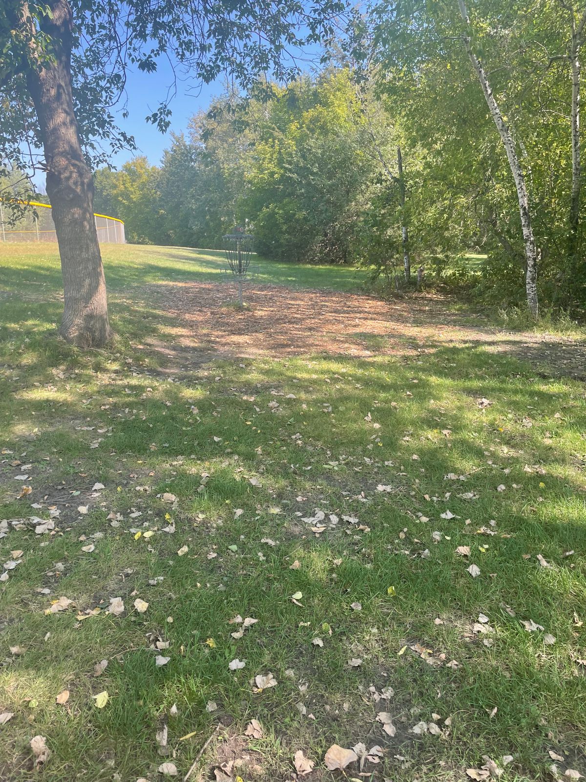 Hole 6 basket